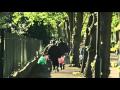 Four Lions Trailer