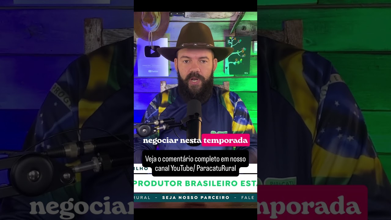 Mercado da soja, milho e sorgo