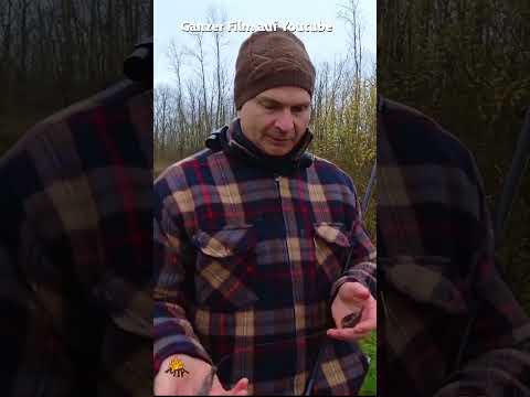 Beste QUAPPEN Köder Montagen #shorts