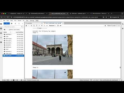 Create Text Embeddings for a Vector Store using LangChain GSP1233