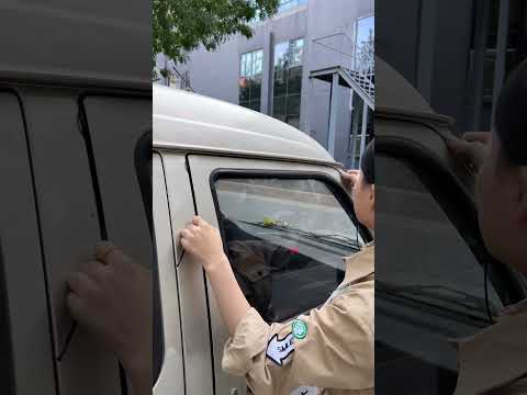 What should I do if my car keys are locked in the car? Thief get out of this video #drivetips#car