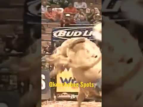 Okeechobee Spots Do PBR