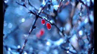 Aphex twin - Yellow calx