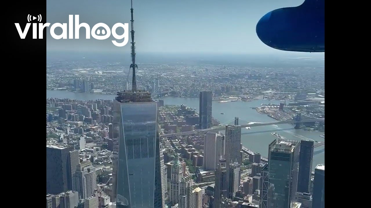 Flying Rescue Puppies Over NYC || ViralHog