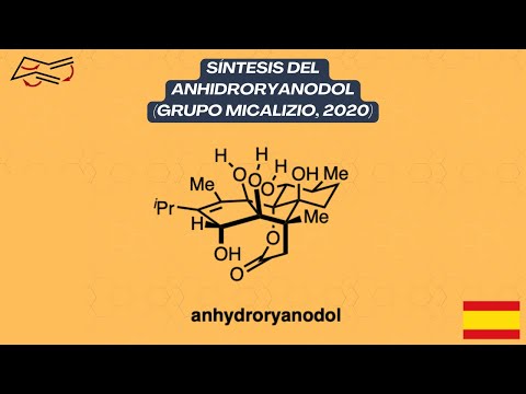 Synthesis Workshop: Síntesis del Anhidroryanodol (Episodio 38)