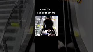 Cơm chó ko ngon như bạn nghĩ