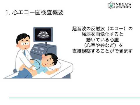 【医学部保健学科】知ってみたい・臨床検査5（生理機能検査）