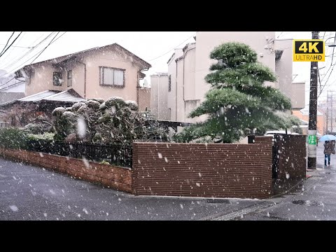 【4K HDR】 8 Hours Heavy Snow Walk in Noborito（登戸）Kawasaki  Japan |  Relaxing Snow ambience