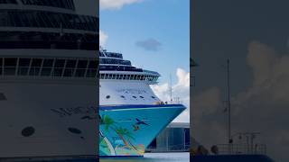Margaritaville at Sea Islander 🛳️ #share #comment #subscribe #cruiseship #cruise #vacation #shorts