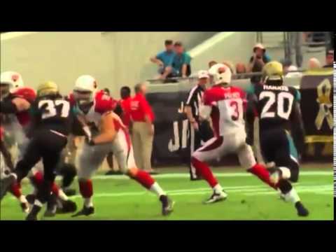 Carson Palmer Ultimate 2013 Highlights