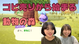 【あつ森】はんなりコビを売るとこから始めるどうぶつの森【顔出しゲーム実況】
