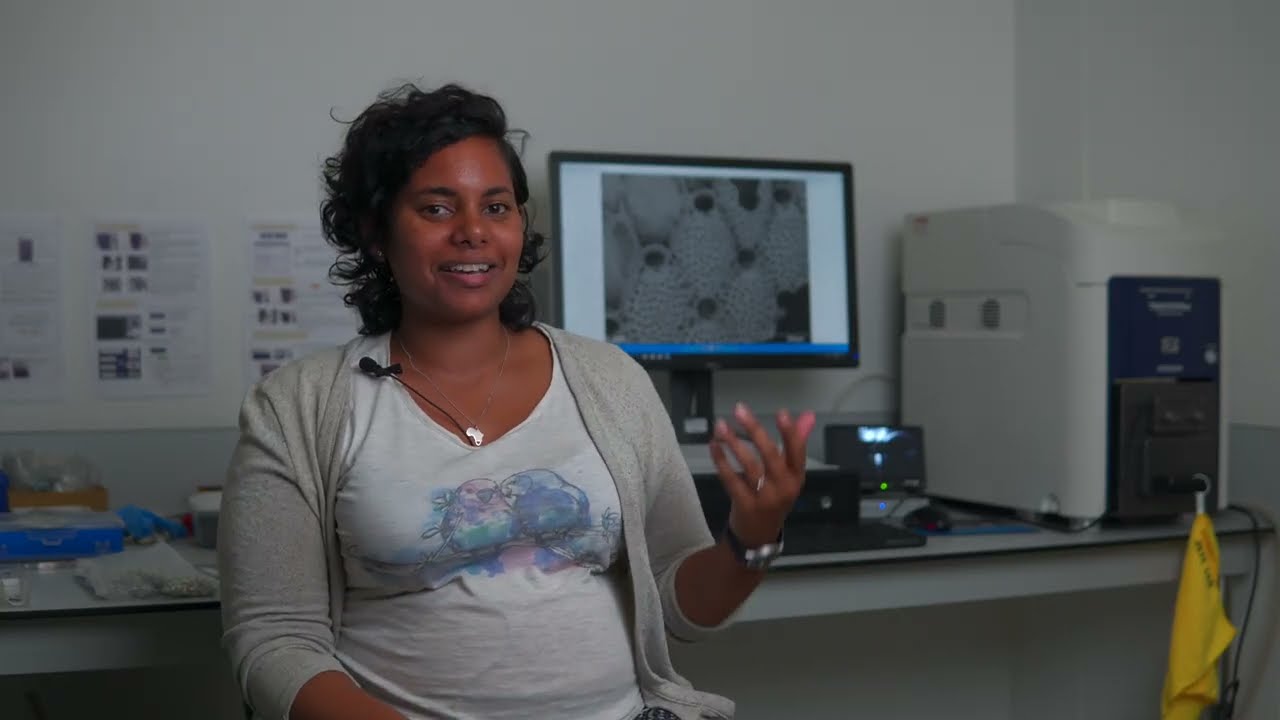 On SEM technology | Iziko Museums + the Cape Winelands Biosphere Reserve