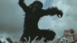 Roger Waters Perfect sense Parte 1 y 2 Subtitulado en español