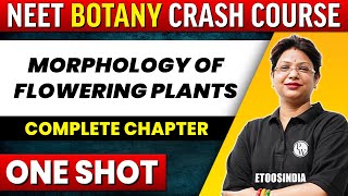 MORPHOLOGY OF FLOWERING PLANTS in 1 shot - All Concepts, Tricks & PYQ's Covered | NEET | ETOOS India