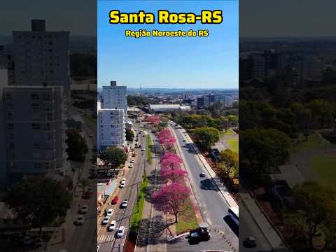 A beleza dos ipês em Santa Rosa-RS no Nordeste Gaúcho #santarosa #regiaodasmissoes #interiorgaucho
