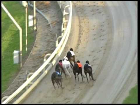 2017 CORAL SUSSEX CUP - HEAT 5 - T6 CALICO RANGER