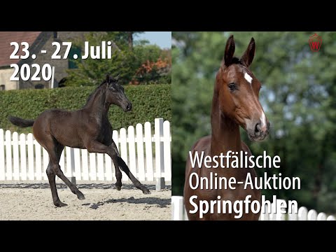 Trailer Online-Auktion 23. - 27. Juli 2020