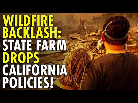 Wildfire Fury: Why Insurers Are Abandoning California Homeowners