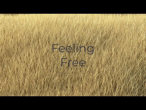 Feeling Free - Jesse Lawrence. [ #music #lyrics ]