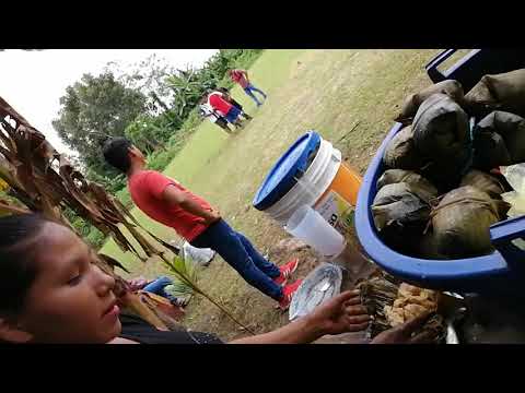 Fiesta Patronal y música típica EL BOMBO BAILE de CHÍA TIPISHCA PERÚ apoyo al Plin/Yape 957251055🇵🇪