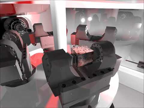 DM2 Multicenter Machine