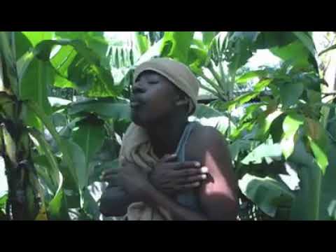 Kiedel sonny-say yes now(ft.dj.molock)prod by buckle records