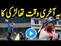 Jessica Last Video Educational Documentary Truth Behind Jessica Dolphin Encounter Dolphin Girl
