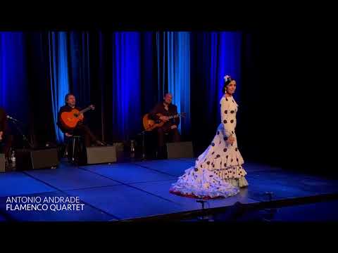 Antonio Andrade Quartet - Stuttgart Theaterhaus 2021