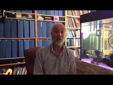 WSCM11 - Cor Vivaldi - Petits Cantors de Catalunya