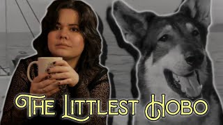 This Dog Sailor Saved Lives and Was an All Around Good Boi | The Littlest Hobo