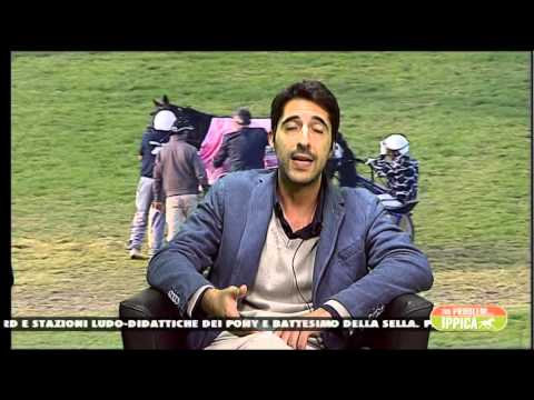 451°NO PROBLEM...IPPICA 15/10/2015