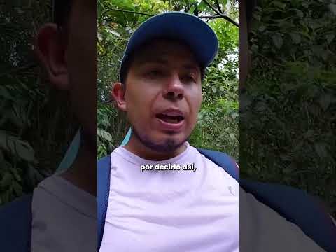 💦🧗¿Cuál te atreverías a vivir?
