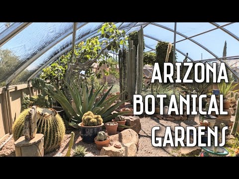 Cactus & Succulent Shopping at Arizona Botanical Gardens in Clarkdale, AZ