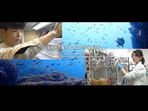 「海の未知を科学する」宮崎大学農学部海洋生物環境学科