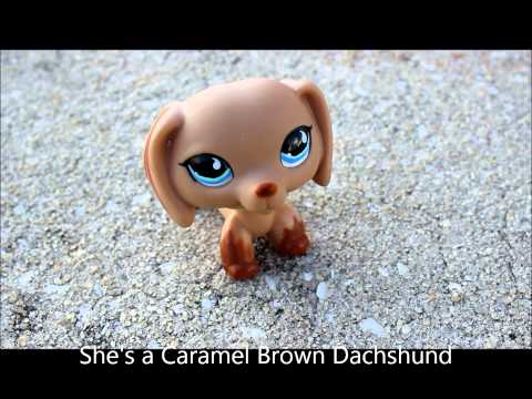 download lagu mp3 mp4 Lps Dachshund 518, download lagu Lps Dachshund 518 gratis, unduh video klip Lps Dachshund 518