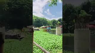 Download lagu #dj #comedydj #ekmotahathighumechala #unfrezzmyaccount #banglasarabarnaandbanjanbarna mp3 Download lagu #dj #comedydj #ekmotahathighumechala #unfrezzmyaccount #banglasarabarnaandbanjanbarna mp3