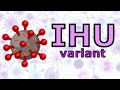 The IHU variant of COVID - Explained and Current Status