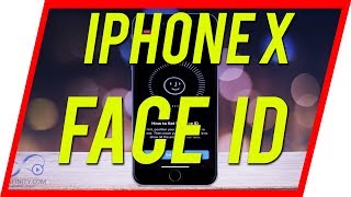 How to Set Up Face ID on iPhone X