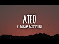 C. Tangana, Nathy Peluso - Ateo (Letra/Lyrics)