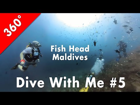 [360°] Dive With Me #5: Fish Head, Maldives (2024-01-16)