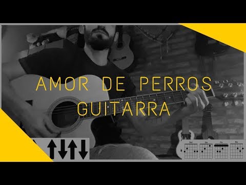 Los piojos - Amor de Perros