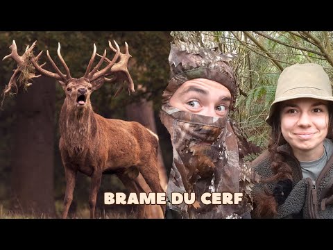 Episode 16 : Brame du cerf 2025 !