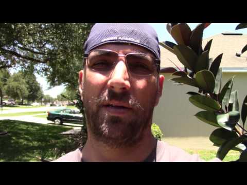 How to make Beef Jerky/ Smoked Beef Jerky/ Beef Jerky...