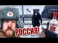 Un Simulateur de TRAIN en Russie , Mafia , Survie et chasse a l'Ours! Trans-Siberian Railway Sim.