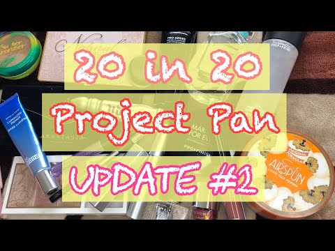 20 in 20 Project Pan Update #2