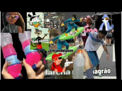 VIDEO STATUS FUNK - MEGA RISADA @djp7