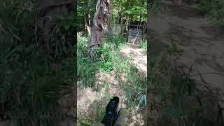 突撃歓迎！Rushing Into Fire #airsoftgun #airsoft #ショート動画