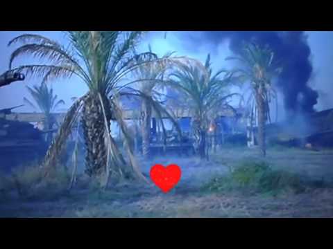 NGÀY TRÒN TUỔI LÍNH