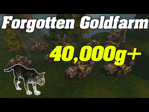 How To Farm Black Tabby Cat | World Of Warcraft