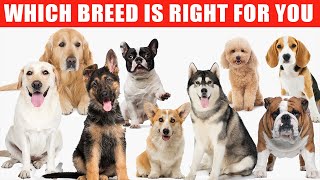 Review of the Top 10 Dog Breeds and Which Breed is